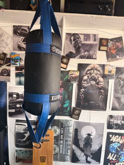 20lb double end punching bag