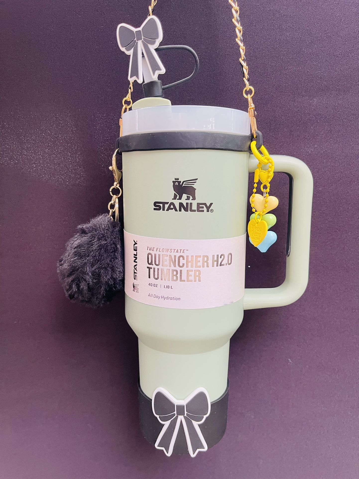 STANLEY CUP 40oz + ACCESORIES