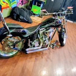 Custom 2009 Harley Davidson 