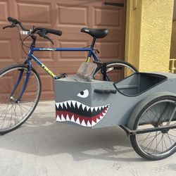 Bike With Sidecar