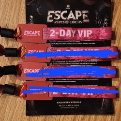 1 Escape 2 Day VIP Wristband