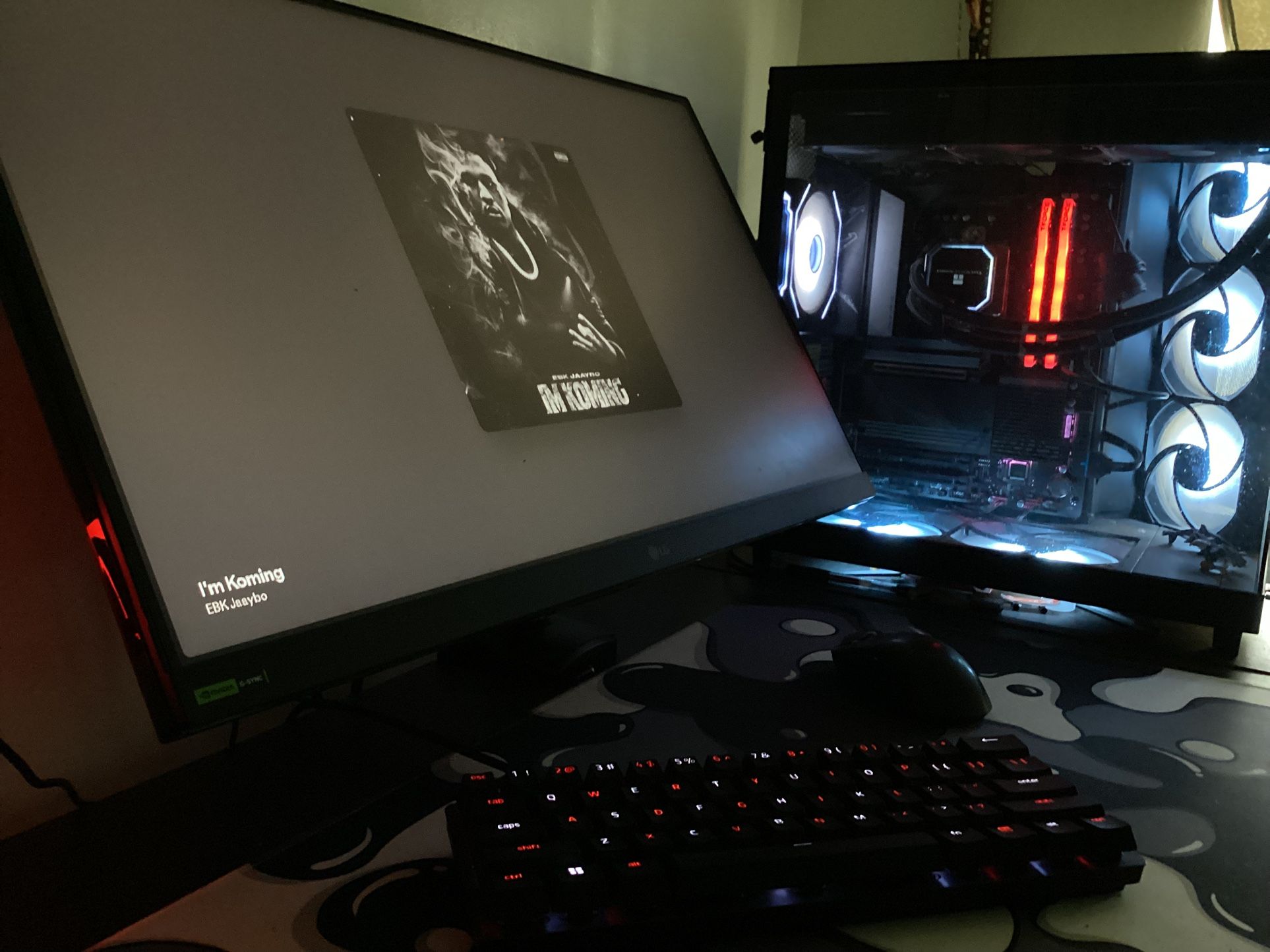 LG Monitor 