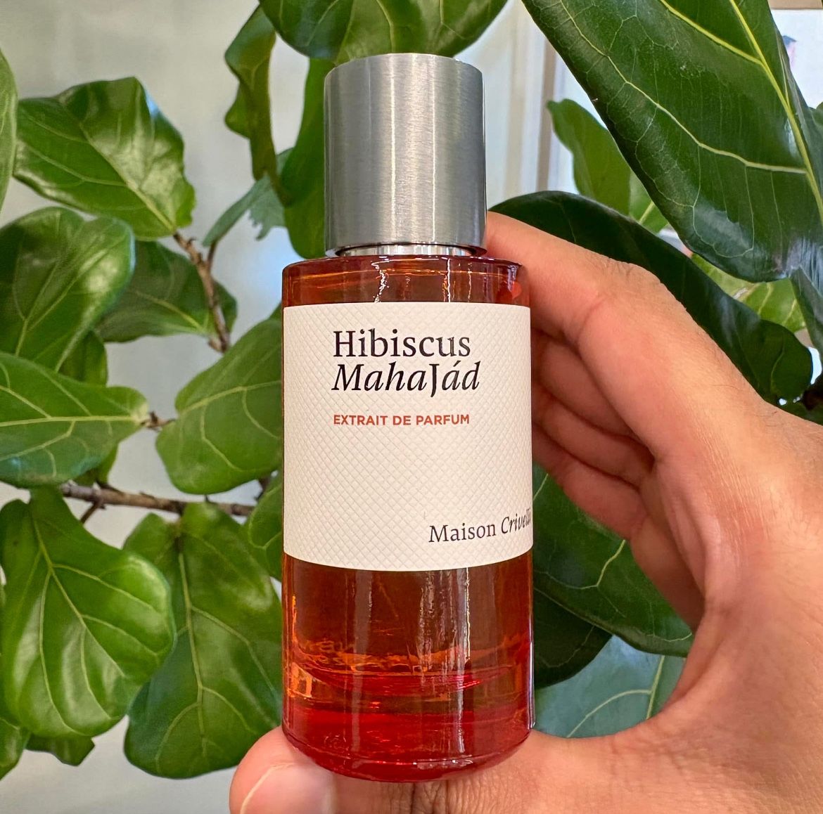 hibiscus mahajad perfume fragrance cologne niche creed pdm xerjoff