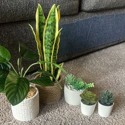 Assorted Fake House Plants