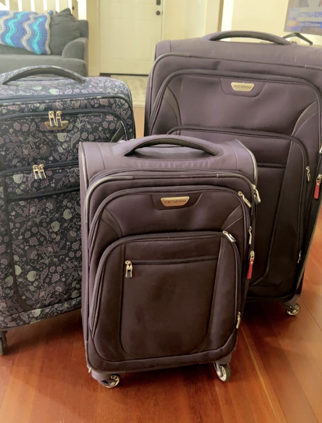 Three Piece Ricardo Luggage With Wheels $40
