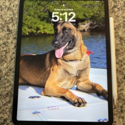 iPad 11 Pro 4th Gen 
