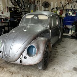 66 Beetle Project 