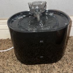 Cat Water Fountain 