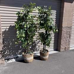 Artificial 6 foot plant