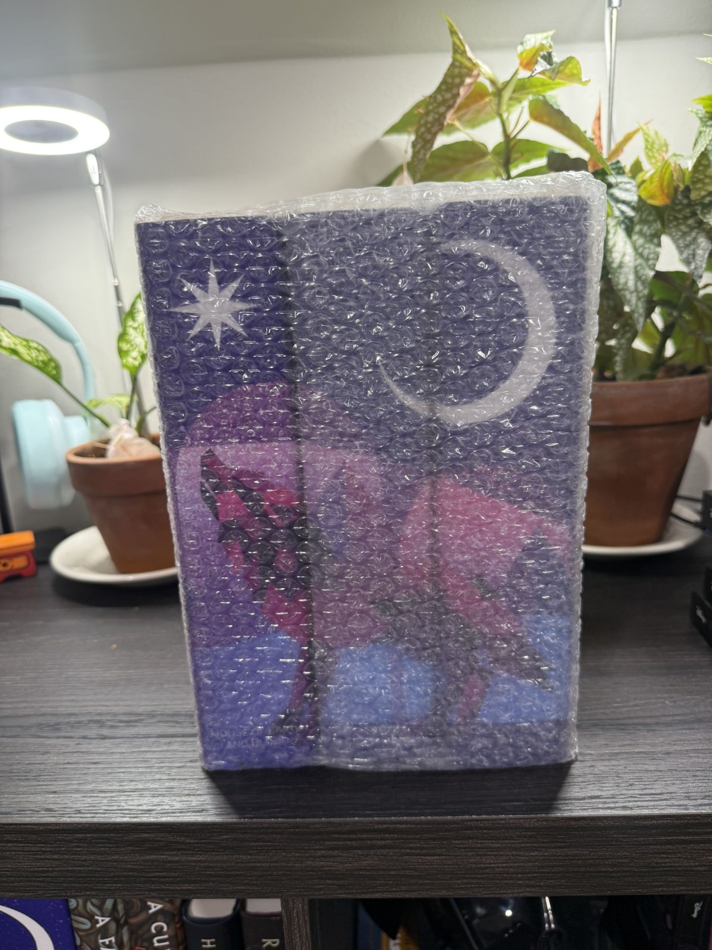 Sarah j Maas Crescent City w/special edition dust covers 