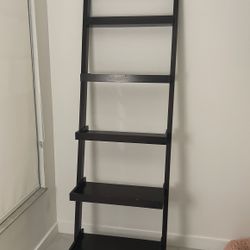 Ladder Shelf