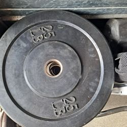 25 Pound Weights. (6)