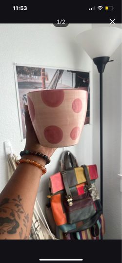 Vase/ potting pot (I have more)
