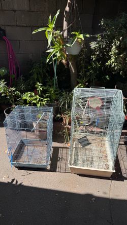Bird Cages