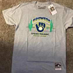 🔥🔥Brand New Mitchell & Ness MLB Spring Training T-shirt🔥🔥🔥