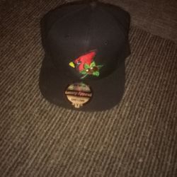 Red Cardinal Bird Men's Hat