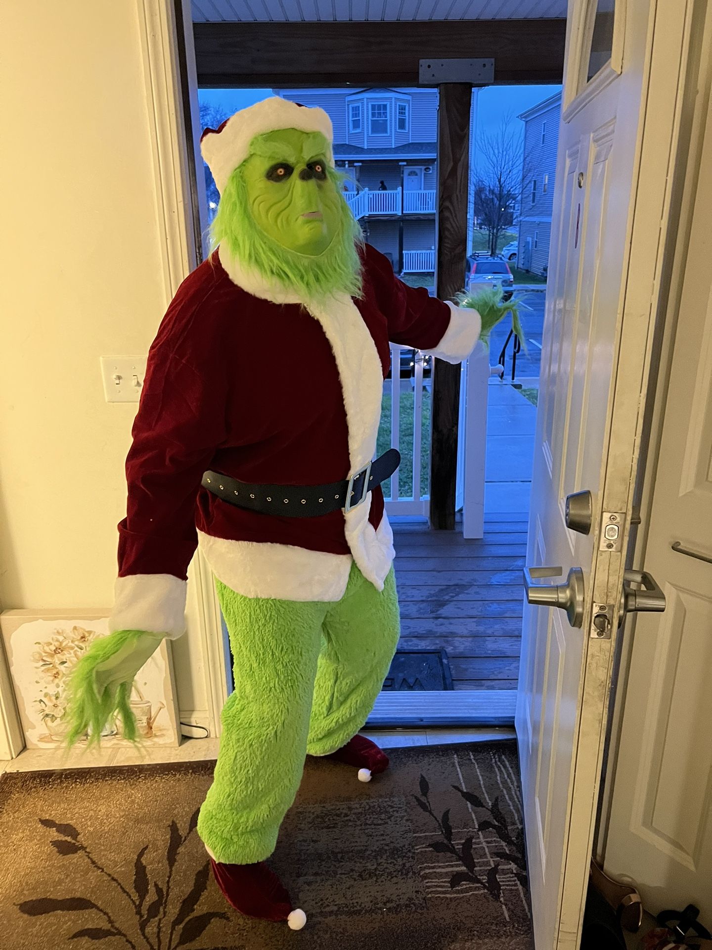 Grinch Visits