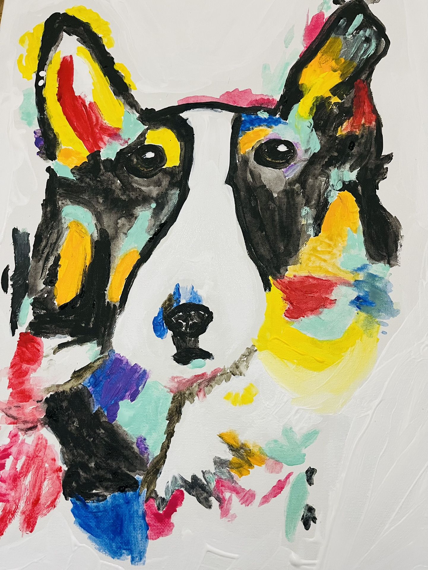 Rainbow Husky