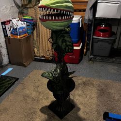 Little Shop Of horrors Venus Flytrap