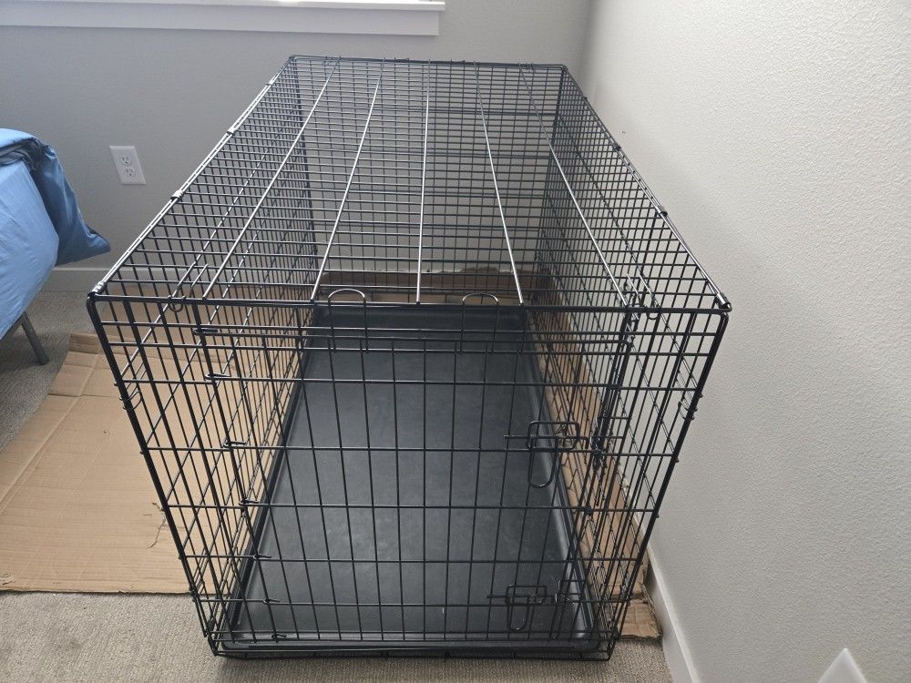 Dog Kennel