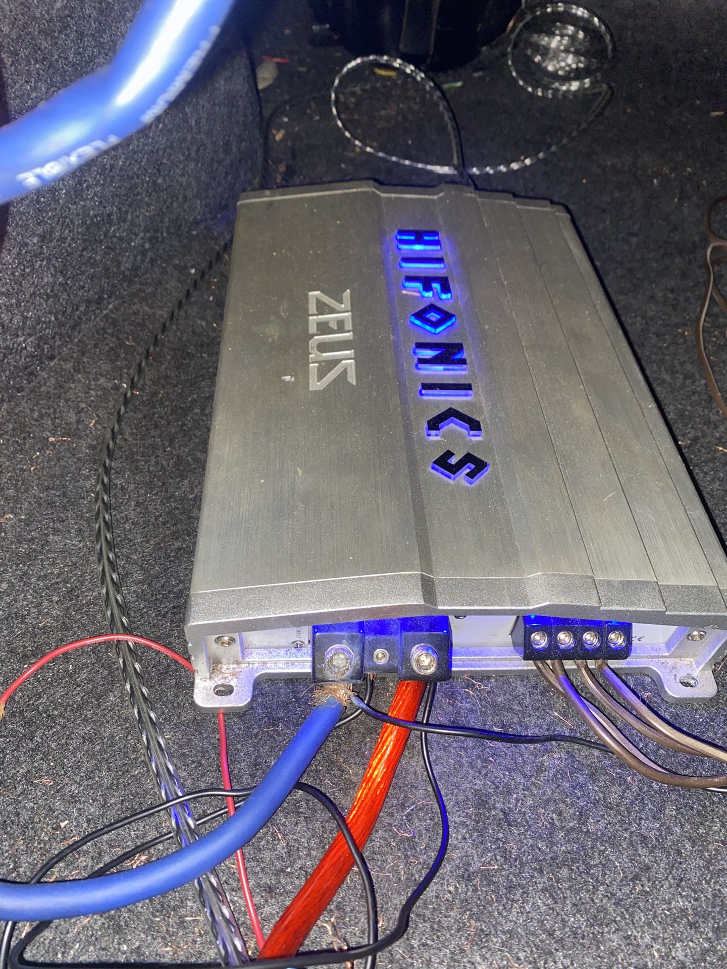 Amp