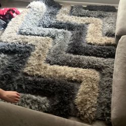Couch And Rug Set 