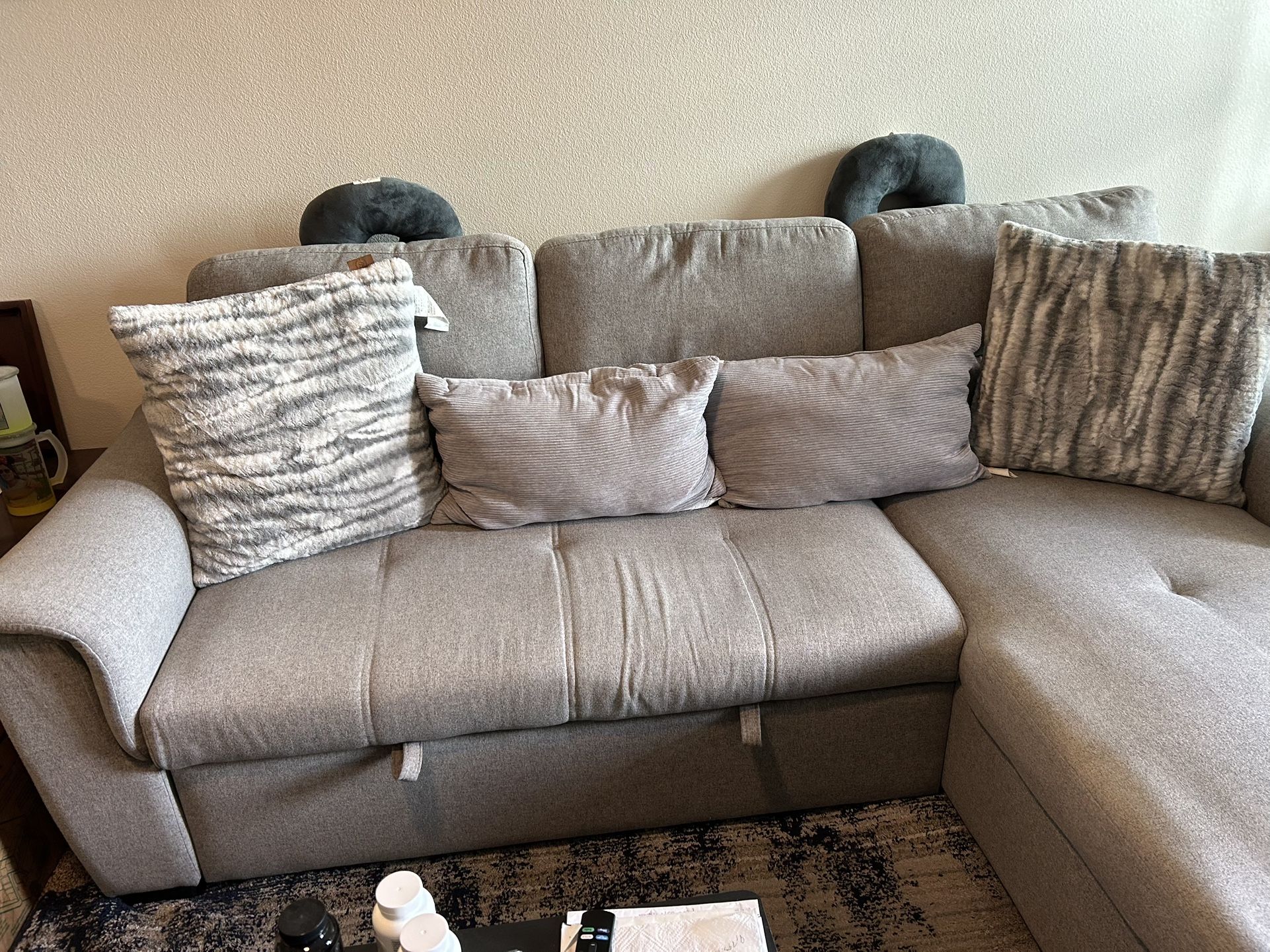 Couch / Pull Out Bed In Great Conditions