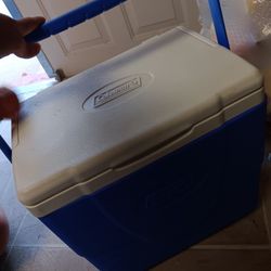Small Coleman Cooler