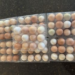 Eggs Sale. $5 1 Dozen 