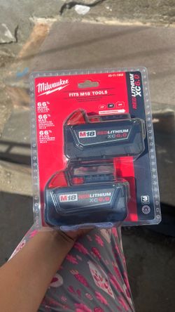 Milwaukee 6.0 battery pack