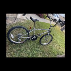 Dimond Back Viper 20 In 