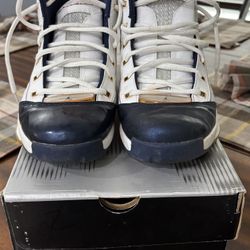 AIR JORDAN XIX SPECIAL EDITION