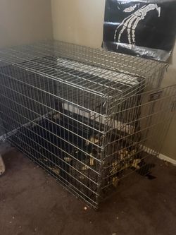 2 XXL STEEL DOG KENNELS AND 1 LARGE KENNEL