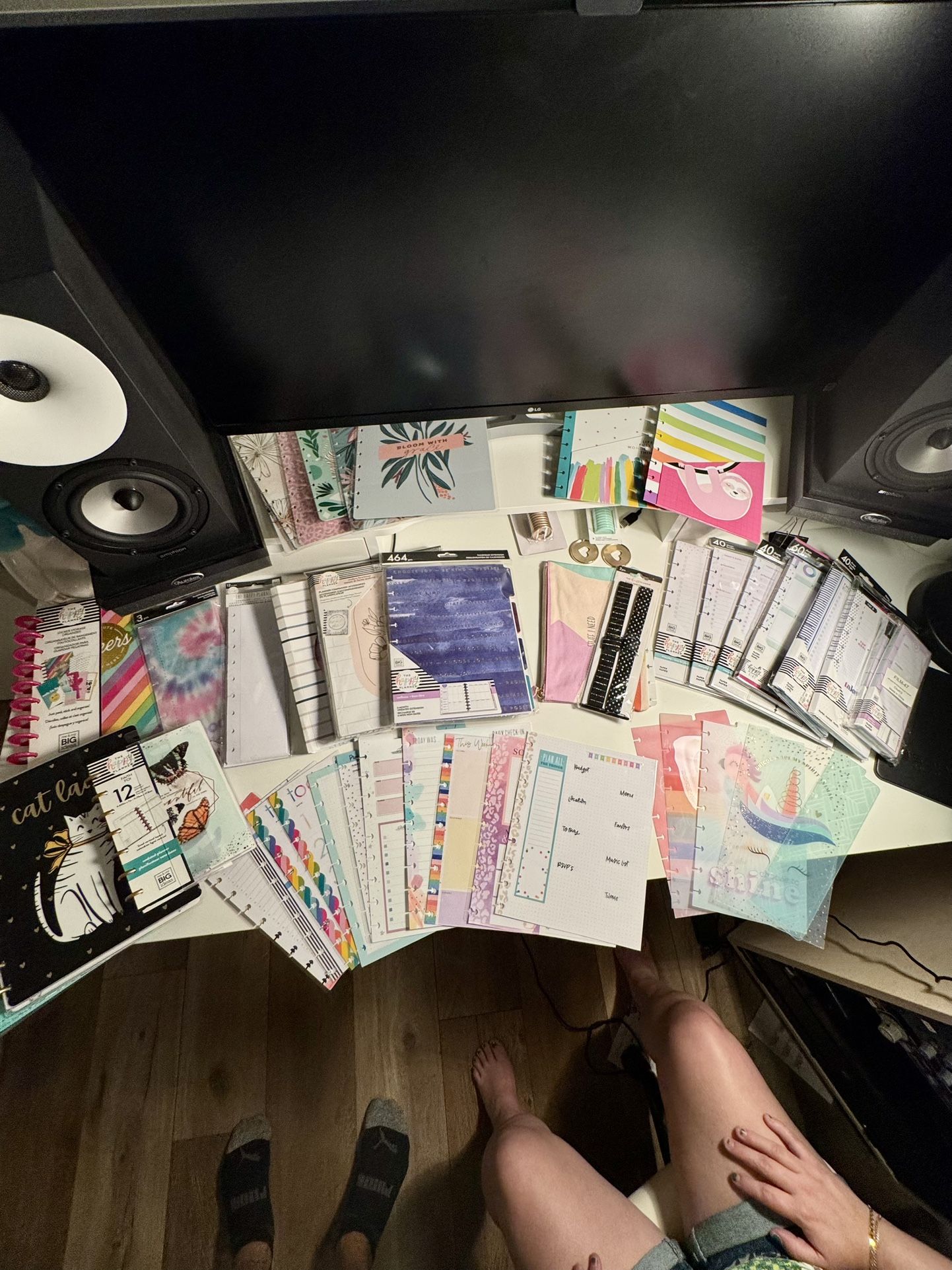 Huge Bundle of Happy Planner / Erin Condren