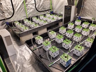New Grow Equipment TOO MUCH TO LIST