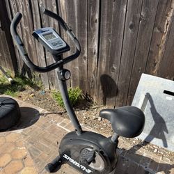 Stamina Workout Machine 