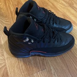 Jordan 12 (size 7y)
