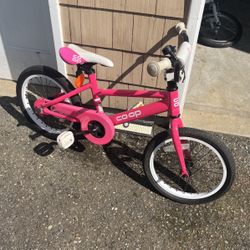 Kids Bike (size 16)