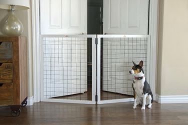 Two Panel Pet Gate