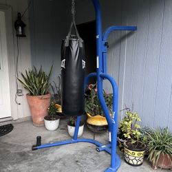 Everlast Punching Bag