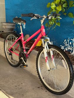 26” Diamondback Mountain Bike
