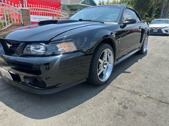 Mustang 2001