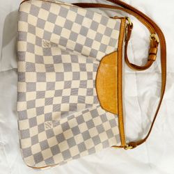 Authentic Louis Vuitton purse