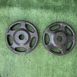 Pair Of 25 Lb Rubberized Plates 