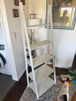 Shelf