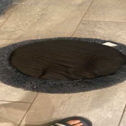 successful foreign Soft & Cuddly Pet Bed - Best Comfort for Your Furry Companion