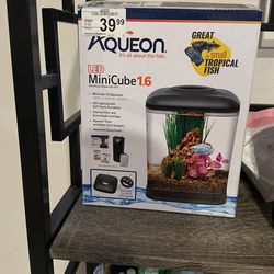 Aqueon Mini Fish Tank