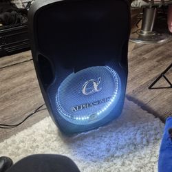 Alphasonik Powered Speaker