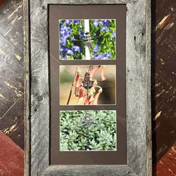 Dragonfly - Photography Digital Wall Art - Nice!