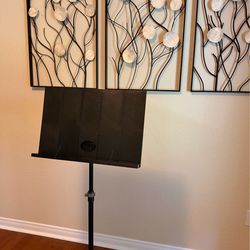 Peak Music stand - new!